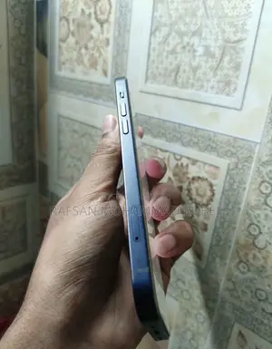 অ্যাপল আইফোন ১২ ৬৪ জিবি ব্লু