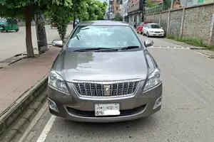 Toyota Premio 2009 Gray