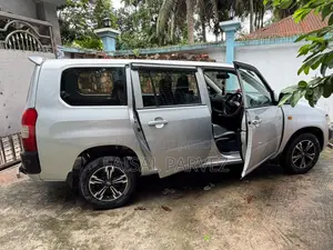 Toyota Probox 2005 Silver