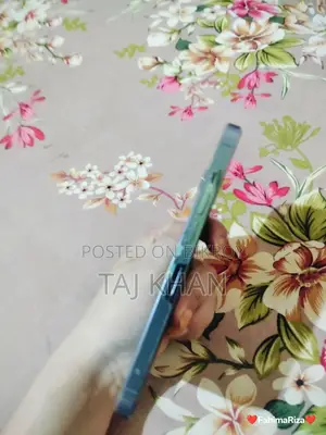 অ্যাপল আইফোন ১৩ প্রো ২৫৬ জিবি