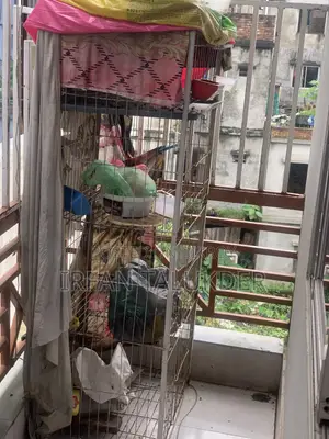 চার তলা খাচা সেল হবে