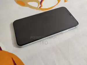 iPhone 11 Display