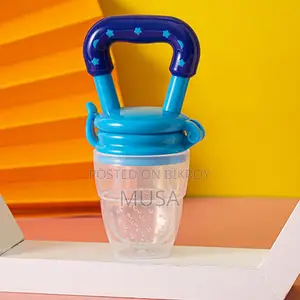 Baby Fruit Feeder