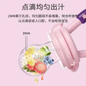 Baby Fruit Feeder