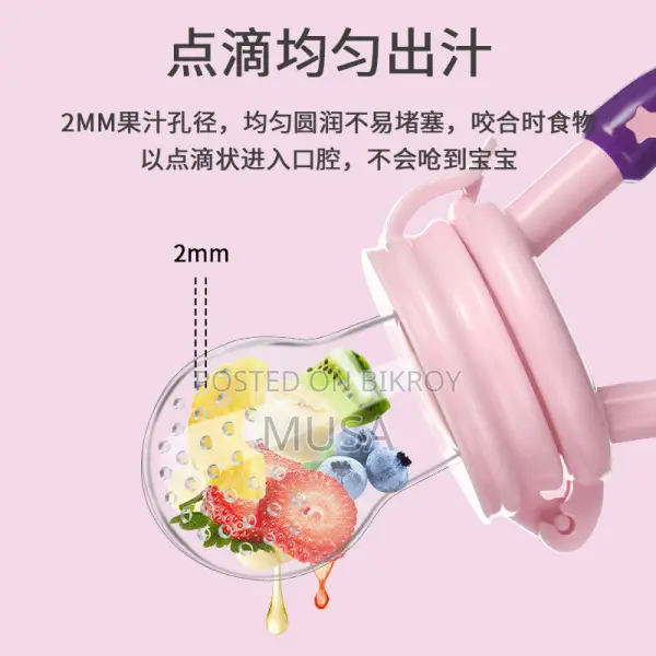 Baby Fruit Feeder