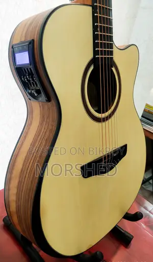 New Emeryla L-570-40 Guitar With Equalizer, Tuner, Bag Accessories