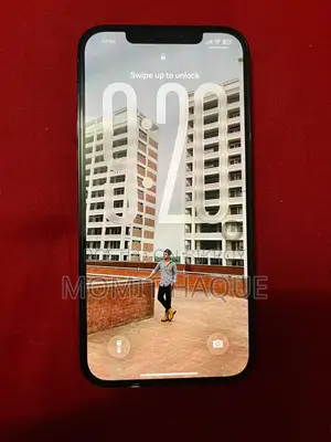 অ্যাপল আইফোন ১২ প্রো ম্যাক্স ২৫৬ জিবি নীল