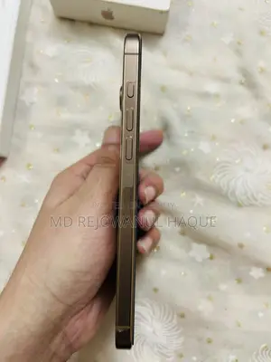 অ্যাপল আইফোন ১৬ প্রো ম্যাক্স ২৫৬ জিবি গোল্ড