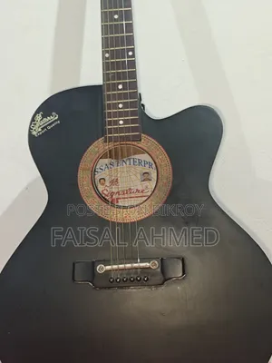 Signature 265 Guitar for Sale