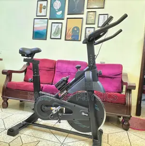 ট্রুলুক্স ইউএসএ স্পিন বাইক - নতুন - হেভি ফ্লাইহুইল - হোম জিম