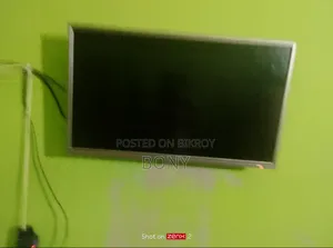 Walton Basic TV