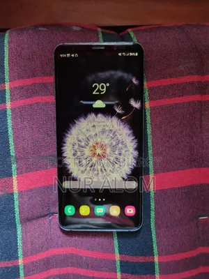 স্যামসাং গ্যালাক্সি এস৯ প্লাস ২৫৬ জিবি নীল