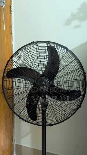 প্যাক পেডেস্টাল ফ্যান