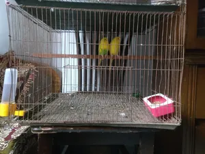 পাখির খাঁচা