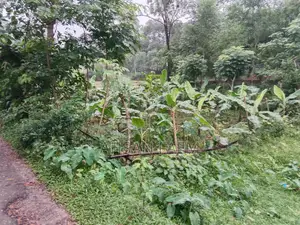 জমি বিক্রি নরসিংদী, শিবপুর, পুঠিয়া ইউনিয়ন। মূল্য
