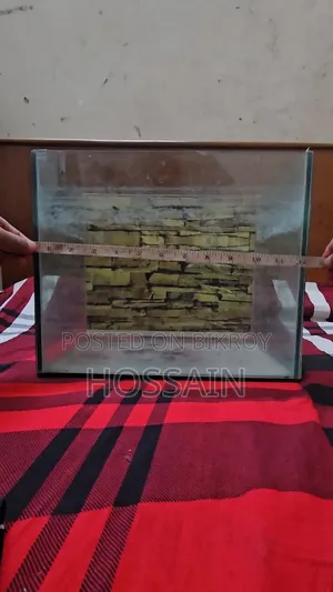 Glass Fish Aquarium