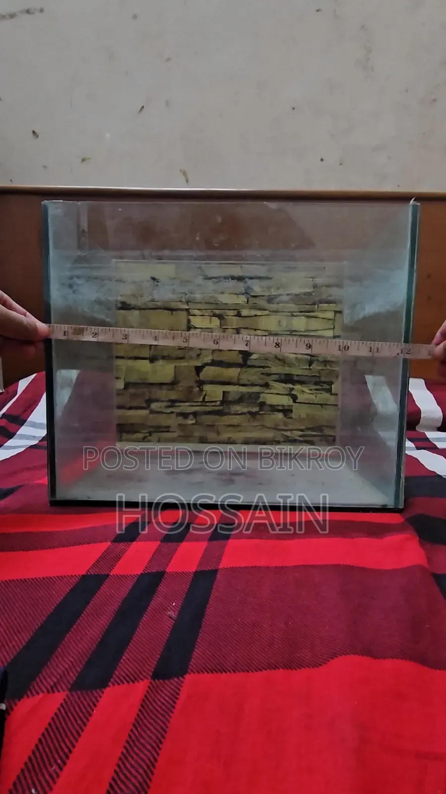 Glass Fish Aquarium