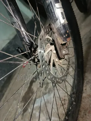 ফিনিক্স হ্যারড ০১ সাইকেল