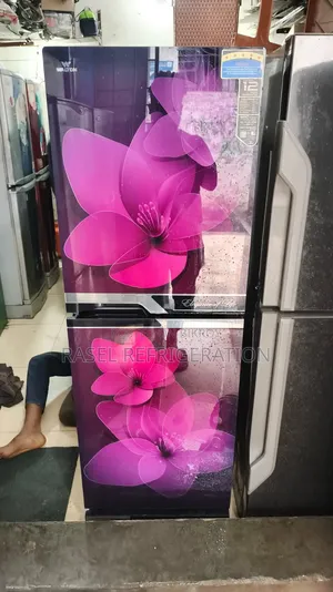 ২২৩ লিটার রানিং ওয়ালটোন ফিরিজ বিক্রি করা হবে।