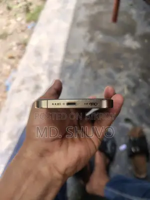 অ্যাপল আইফোন ১২ প্রো ২৫৬ জিবি রোজ গোল্ড