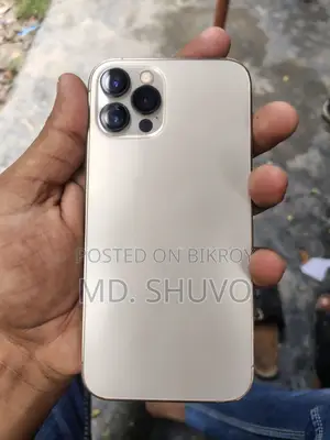 অ্যাপল আইফোন ১২ প্রো ২৫৬ জিবি রোজ গোল্ড