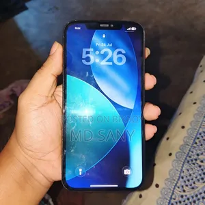 অ্যাপল আইফোন ১২ প্রো ম্যাক্স ২৫৬ জিবি ব্লু