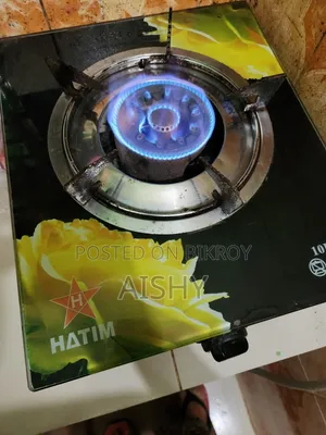 গ্যাস ওভেন এবং গ্যাস সিলিন্ডার