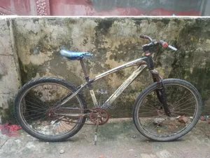Phoenix সাইকেল
