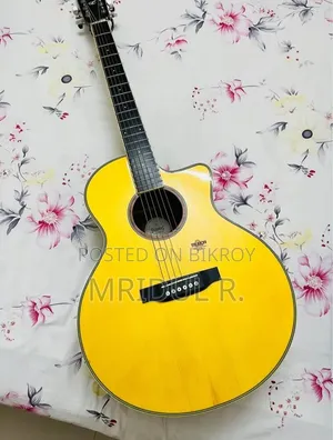 Trumon TF-05 Semi Acoustic Guitar