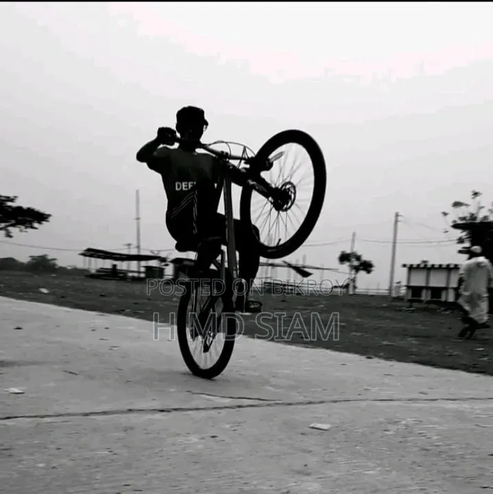 Trek Series 3900