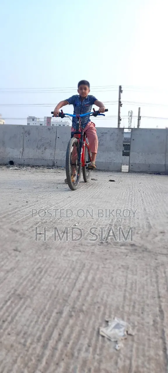 Trek Series 3900