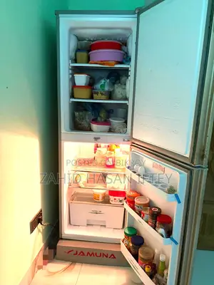 ফ্রিজ