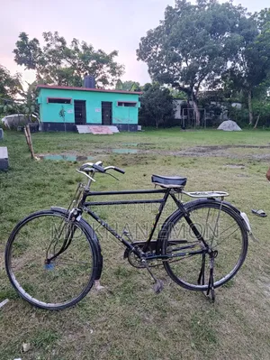 China Phoenix 28" Bicycle for Sale