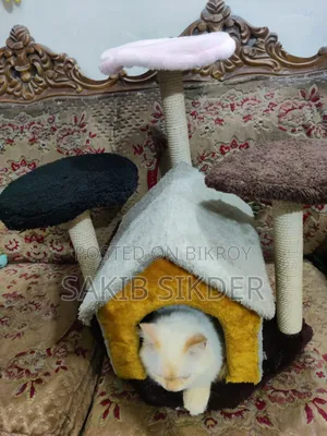Cat House