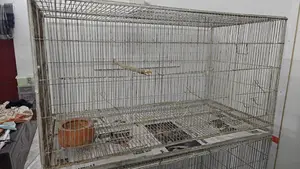 ৩৬'১৮'১৮ কেইজ ফ্রেশ