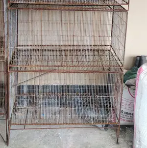 খাঁচা বিক্রির জন্য