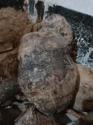 Coconut - নারিকেল