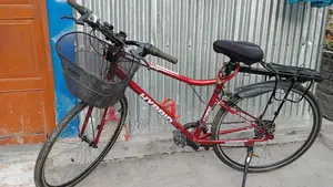 Duranta Avenger Bicycle