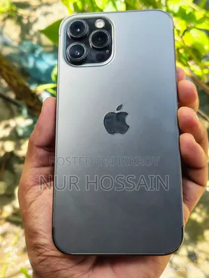 Apple iPhone 12 Pro Max 256 GB Gray