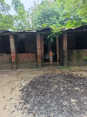 3 Bedroom House in Daulatpur for Sale