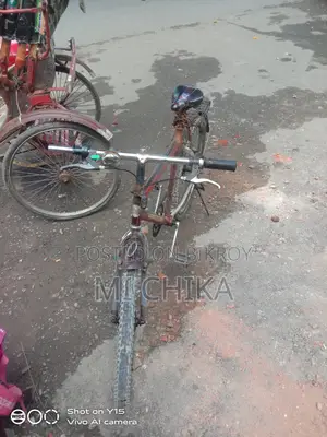 সাধারণ সাইকেল