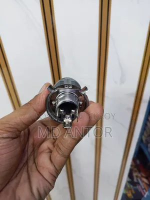 Projection Headligh Bulb