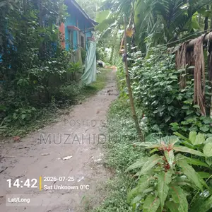 ভোলার বোরহানউদ্দিন পৌরসভায় জমি বিক্রি