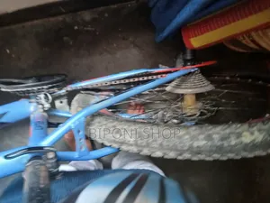 এভন বাইসাইকেল