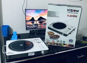 Electronic Stove