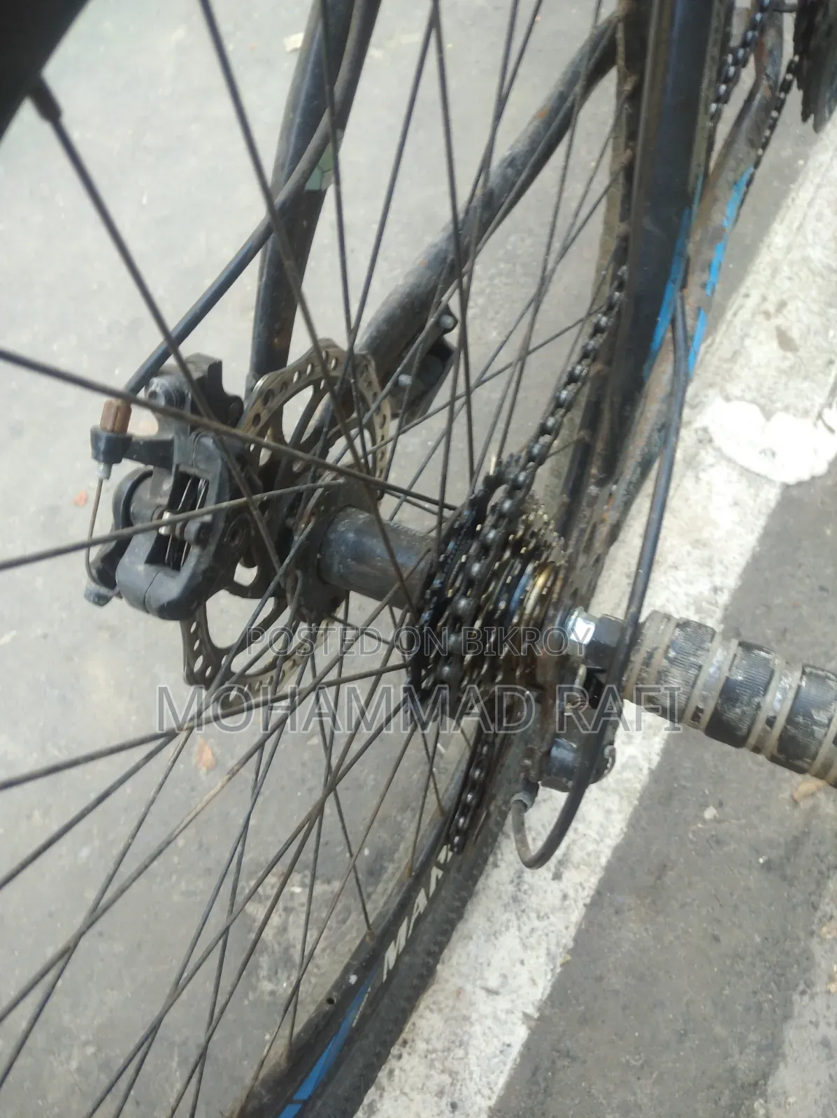 Marine Bicycle 26 Size