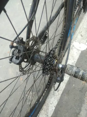 Marine Bicycle 26 Size