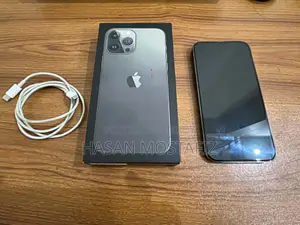 Apple iPhone 13 Pro Max 256 GB Gray