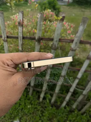অ্যাপল আইফোন ১২ প্রো ম্যাক্স ১২৮ জিবি গোল্ড