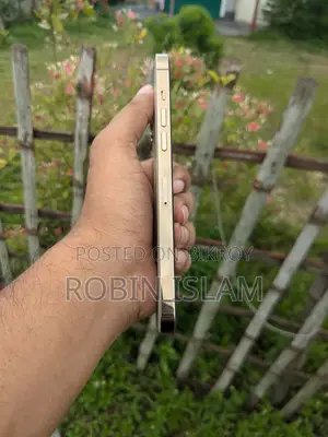 অ্যাপল আইফোন ১২ প্রো ম্যাক্স ১২৮ জিবি গোল্ড